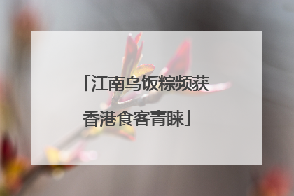 江南乌饭粽频获香港食客青睐