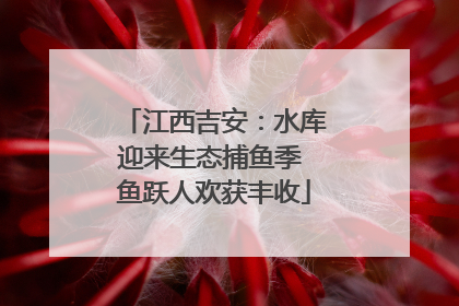 江西吉安：水库迎来生态捕鱼季 鱼跃人欢获丰收