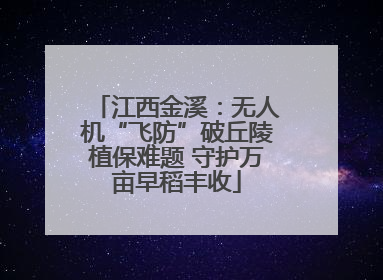 江西金溪：无人机“飞防”破丘陵植保难题 守护万亩早稻丰收