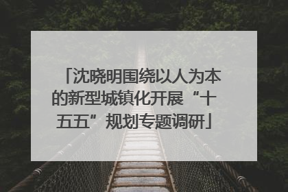 沈晓明围绕以人为本的新型城镇化开展“十五五”规划专题调研