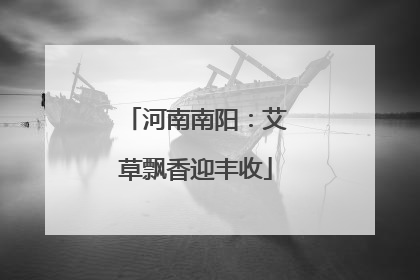 河南南阳：艾草飘香迎丰收