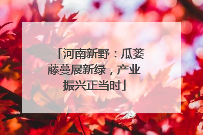 河南新野：瓜蒌藤蔓展新绿，产业振兴正当时