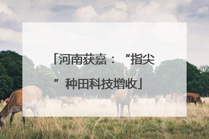 河南获嘉：“指尖”种田科技增收