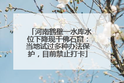 河南鹤壁一水库水位下降现千佛石窟：当地试过多种办法保护，目前禁止打卡