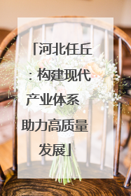河北任丘：构建现代产业体系 助力高质量发展