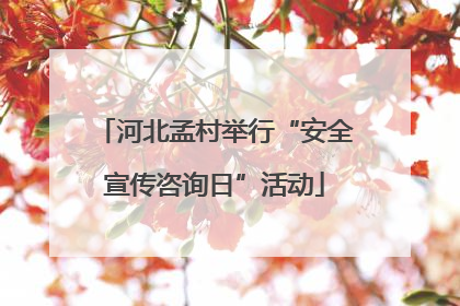 河北孟村举行“安全宣传咨询日”活动