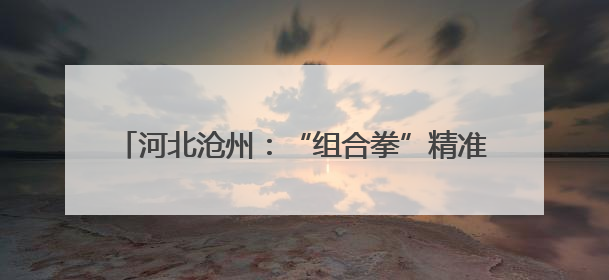 河北沧州：“组合拳”精准发力 助力企业创新突破