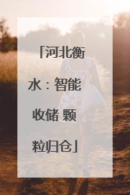 河北衡水：智能收储 颗粒归仓