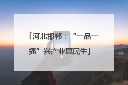 河北邯郸：“一品一播”兴产业惠民生