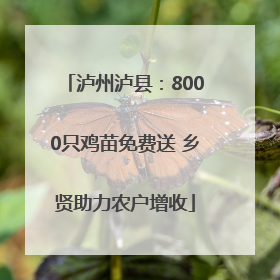 泸州泸县：8000只鸡苗免费送 乡贤助力农户增收