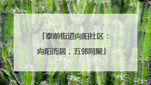 泰前街道向阳社区：向阳而居，五邻同聚