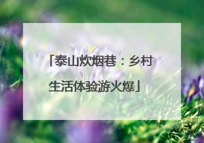 泰山炊烟巷：乡村生活体验游火爆