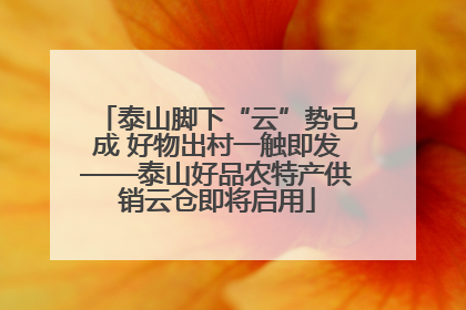泰山脚下“云”势已成 好物出村一触即发——泰山好品农特产供销云仓即将启用