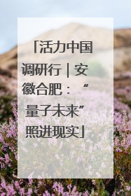 活力中国调研行｜安徽合肥：“量子未来”照进现实