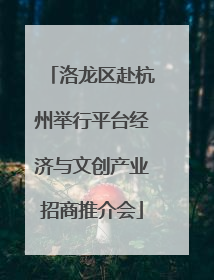 洛龙区赴杭州举行平台经济与文创产业招商推介会