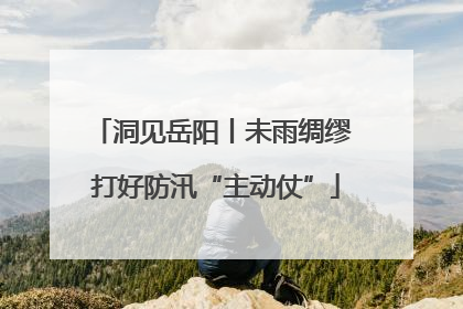 洞见岳阳丨未雨绸缪 打好防汛“主动仗”
