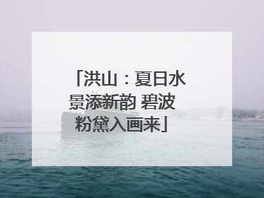 洪山：夏日水景添新韵 碧波粉黛入画来