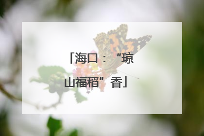 海口：“琼山福稻”香