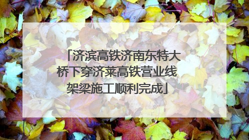 济滨高铁济南东特大桥下穿济莱高铁营业线架梁施工顺利完成