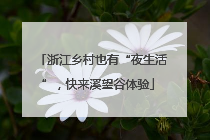 浙江乡村也有“夜生活”，快来溪望谷体验