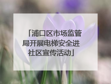 浦口区市场监管局开展电梯安全进社区宣传活动