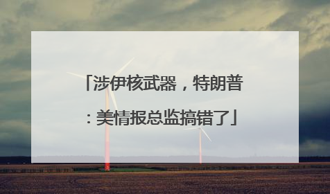 涉伊核武器，特朗普：美情报总监搞错了