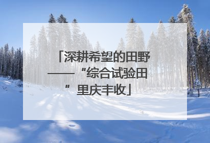 深耕希望的田野——“综合试验田”里庆丰收