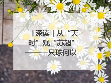 深读｜从“天时”观“苏超”——一只球何以踢出全网喝彩