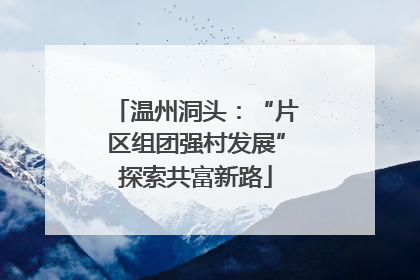温州洞头：“片区组团强村发展”探索共富新路