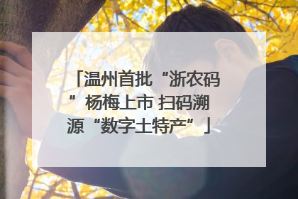 温州首批“浙农码”杨梅上市 扫码溯源“数字土特产”