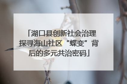 湖口县创新社会治理 探寻海山社区“蝶变”背后的多元共治密码