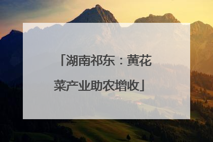 湖南祁东：黄花菜产业助农增收