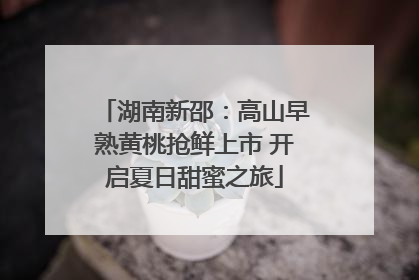 湖南新邵：高山早熟黄桃抢鲜上市 开启夏日甜蜜之旅