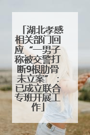 湖北孝感相关部门回应“一男子称被交警打断9根肋骨未立案”：已成立联合专班开展工作