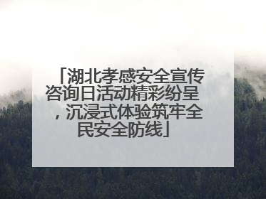 湖北孝感安全宣传咨询日活动精彩纷呈，沉浸式体验筑牢全民安全防线