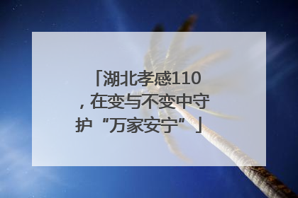 湖北孝感110，在变与不变中守护“万家安宁”