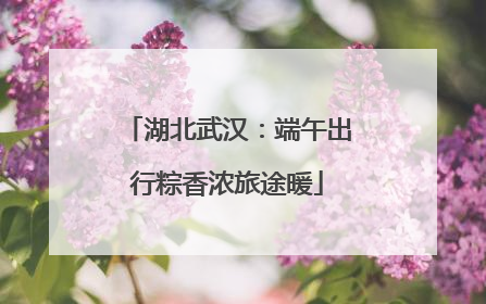 湖北武汉：端午出行粽香浓旅途暖