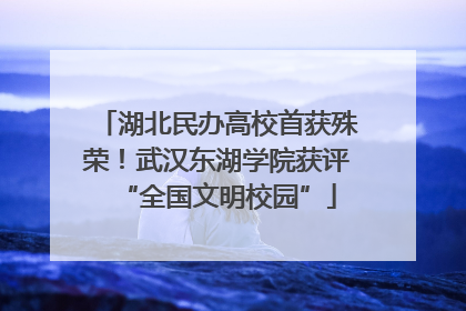 湖北民办高校首获殊荣！武汉东湖学院获评“全国文明校园”