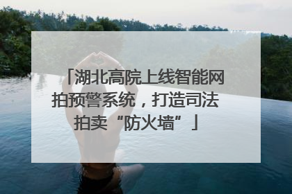 湖北高院上线智能网拍预警系统，打造司法拍卖“防火墙”