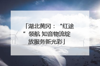 湖北黄冈：“红途”领航 知音物流绽放服务新光彩