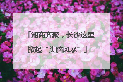湘商齐聚，长沙这里掀起“头脑风暴”