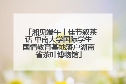 湘见端午丨佳节叙茶话 中南大学国际学生国情教育基地落户湖南省茶叶博物馆