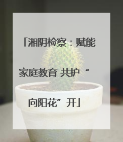 湘阴检察：赋能家庭教育 共护“向阳花”开