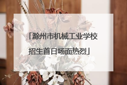 滁州市机械工业学校招生首日场面热烈