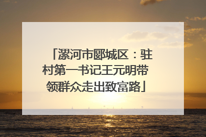 漯河市郾城区：驻村第一书记王元明带领群众走出致富路