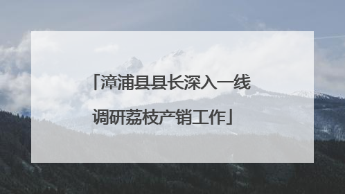 漳浦县县长深入一线调研荔枝产销工作