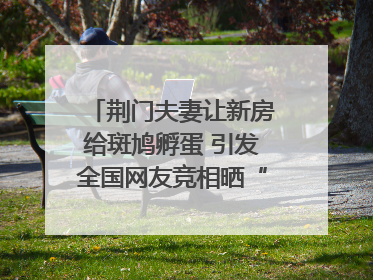 荆门夫妻让新房给斑鸠孵蛋 引发全国网友竞相晒“人鸟共处”图
