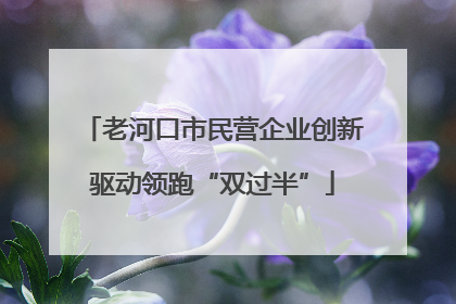 老河口市民营企业创新驱动领跑“双过半”