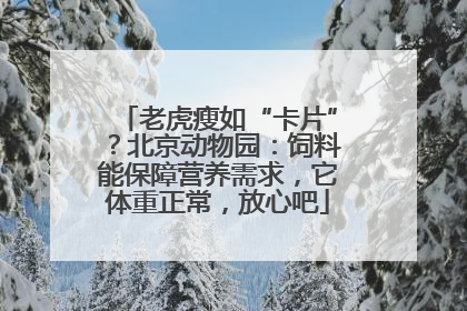 老虎瘦如“卡片”？北京动物园：饲料能保障营养需求，它体重正常，放心吧