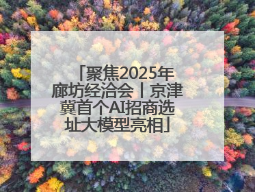 聚焦2025年廊坊经洽会丨京津冀首个AI招商选址大模型亮相